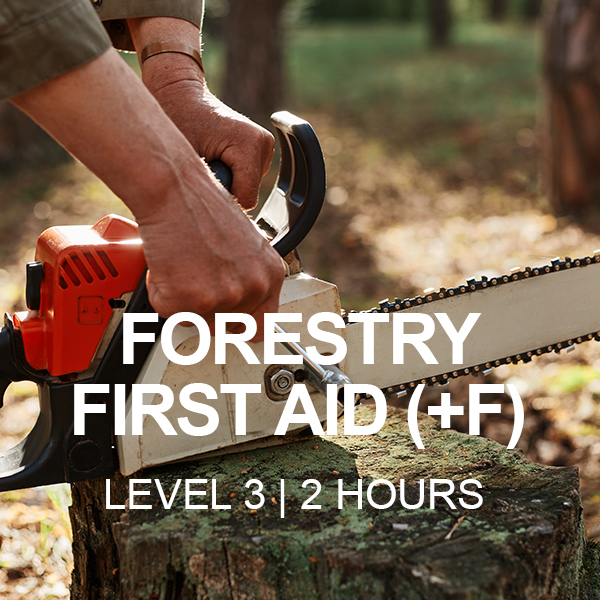 Forestry-First-Aid-Training-Morecambe